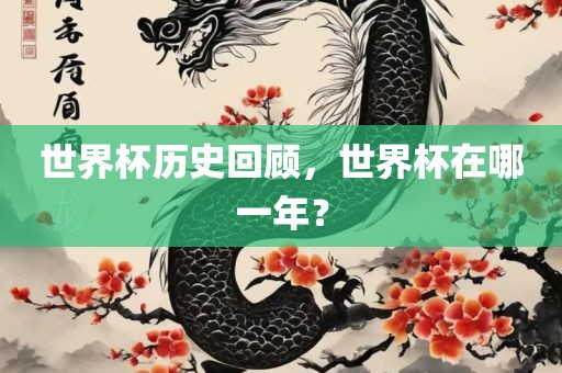 世界杯历史回顾，世界洛阳市法福文化传播有限公司杯在哪一年？