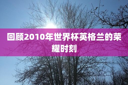 回顾2010年世界杯英格兰的荣耀时刻