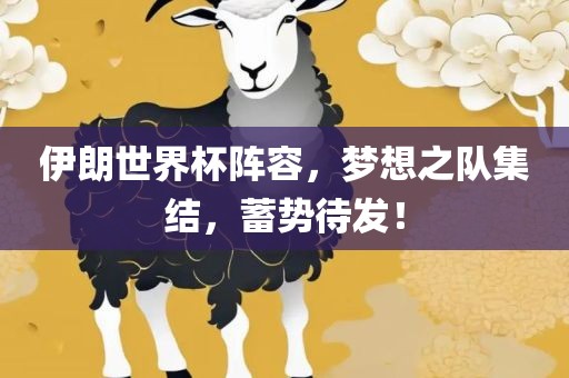 伊朗世界杯阵容，梦想之队集结，蓄势待发！洛阳市法福文化传播有限公司