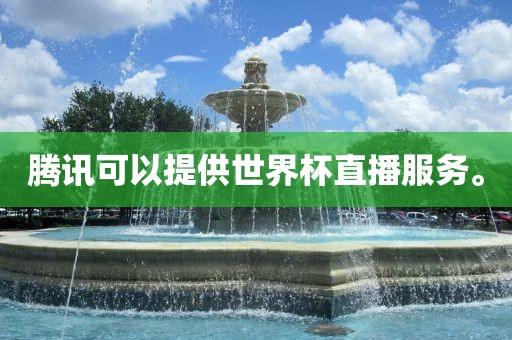 腾讯可以提供世界杯直播服务。