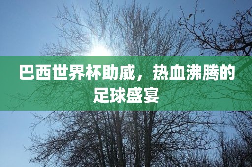 巴西世界杯助威，热血沸腾的足球盛宴