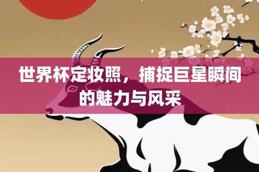 世界杯定妆照，捕捉巨星瞬间的魅力与风采