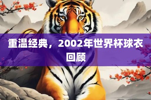 重温经典，2002年世界杯球衣回顾