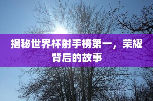 揭秘世界杯射手榜第一，荣耀背后的故事