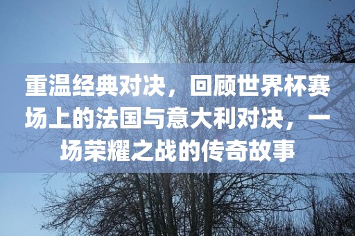 重温经典对决，回顾世界杯赛场上的法国与意大利对决，一场荣耀之战的传奇故事洛阳市法福文化传播有限公司