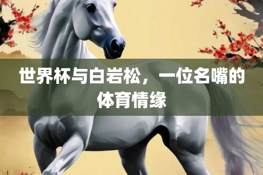 世界杯与白岩松，一位名嘴的体育情缘洛阳市法福文化传播有限公司