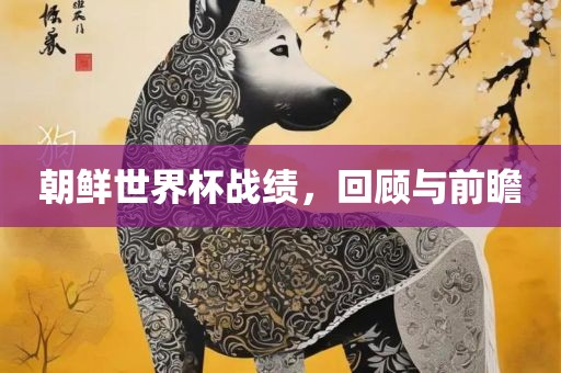 朝鲜世界杯战绩，回顾与前瞻