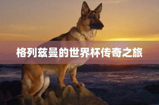 格列兹曼的世界杯传奇之旅洛阳市法福文化传播有限公司