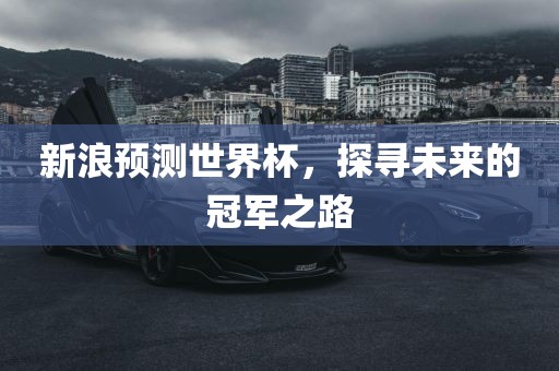新浪预测世界杯，探寻未来的冠军之路洛阳市法福文化传播有限公司