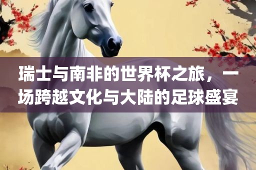 瑞士与南非的世界杯之旅，一场跨越文化与大陆的足球盛宴