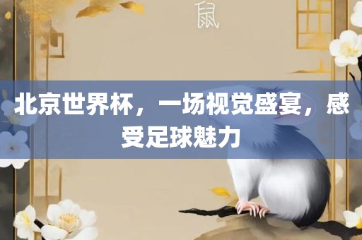 北京世界杯，一场视觉盛宴，感受足球魅力洛阳市法福文化传播有限公司