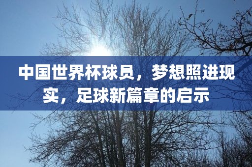 中国世界杯球员，梦想照进现实，足球新篇章的启示