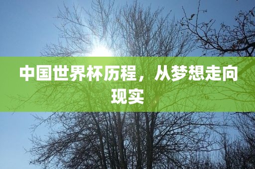 中国世界杯历程，从梦想走向现实洛阳市法福文化传播有限公司
