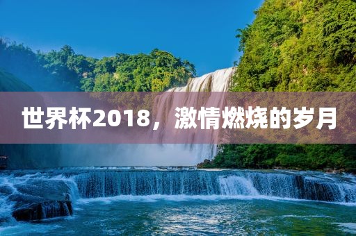 世界杯2018，激情燃烧的岁月