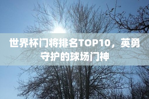 世界杯门将排名TOP10，英勇守护的球场门神洛阳市法福文化传播有限公司