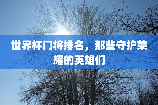 世界杯门将排名，那些守护荣耀的英雄们洛阳市法福文化传播有限公司