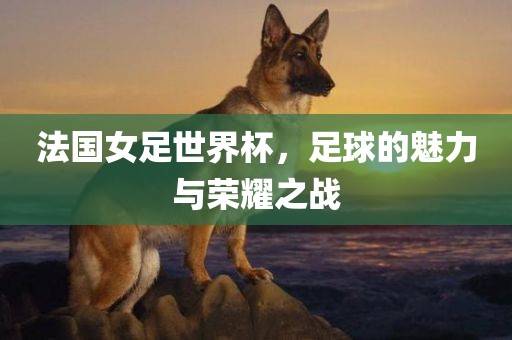 法国女足世界杯，足球的魅力与荣耀之战