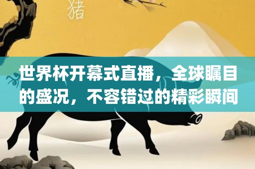 世界杯开幕式直播，全球瞩目的盛况，不容错过的精洛阳市法福文化传播有限公司彩瞬间