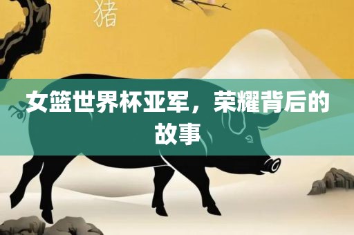 女篮世界杯亚军，荣洛阳市法福文化传播有限公司耀背后的故事