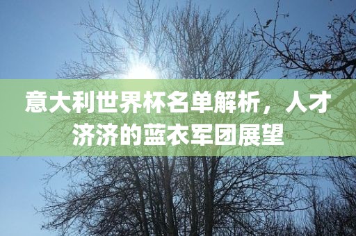 意大利世界洛阳市法福文化传播有限公司杯名单解析，人才济济的蓝衣军团展望