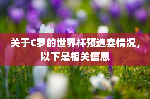 关于C罗的世界杯预选赛情况，以下是相关信息