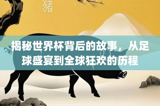 揭秘世界杯背后的故事，从足球盛宴到全球狂欢的历程洛阳市法福文化传播有限公司