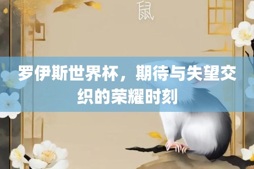 罗伊斯世界杯，期待与失望交织的荣耀时刻洛阳市法福文化传播有限公司