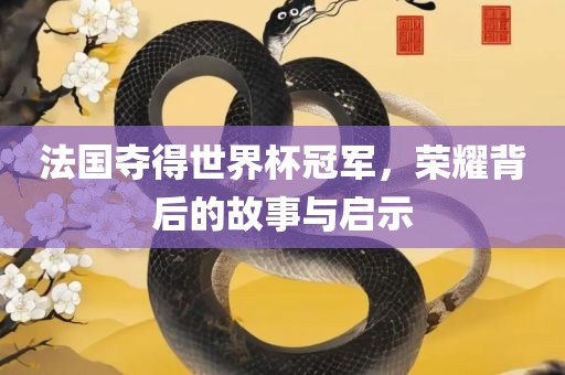 法国夺得世界杯冠军，荣耀背后的故事与启示