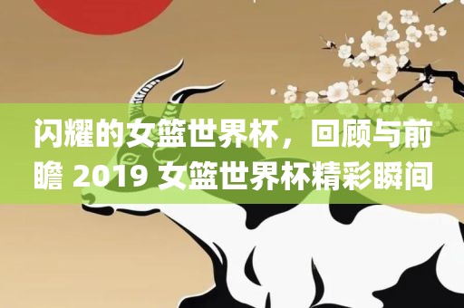 闪耀的女篮世界杯，回顾与前瞻 2019 女篮世界杯精彩瞬间