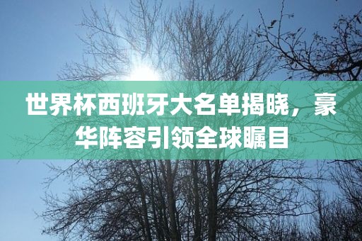 世界杯西班牙大名单揭晓，豪华阵容引领全球瞩目
