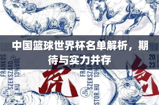 中国篮球世界杯名单解析，期待与实力并存