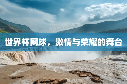 德国在世界杯赛场上的辉煌历程