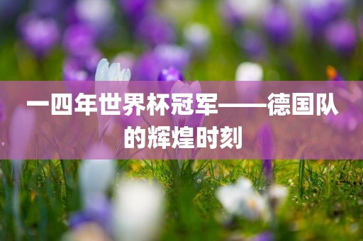 一四年世界杯冠军——德国队的辉煌时刻洛阳市法福文化传播有限公司