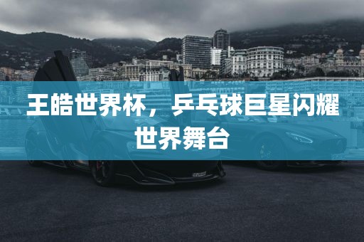 王皓世界杯，乒乓球巨星闪耀世界舞台