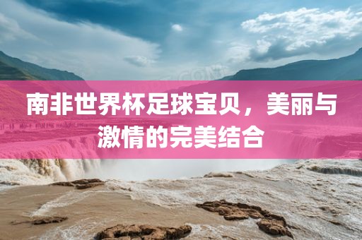 南非世界杯足球宝贝，美丽与激情的完美结合