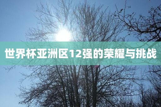 世界杯亚洲区12强的荣耀与挑战