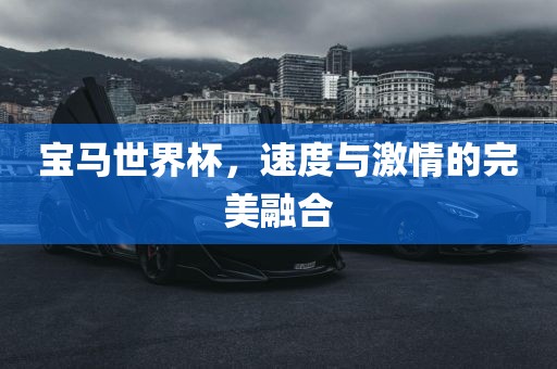 宝马世界杯，速度与激情的完美融合