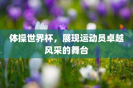 体操世界杯，展现运动员卓越风采的舞台