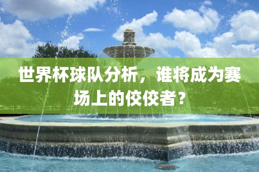世界杯球队分析，谁将成为赛场上的佼佼者？洛阳市法福文化传播有限公司