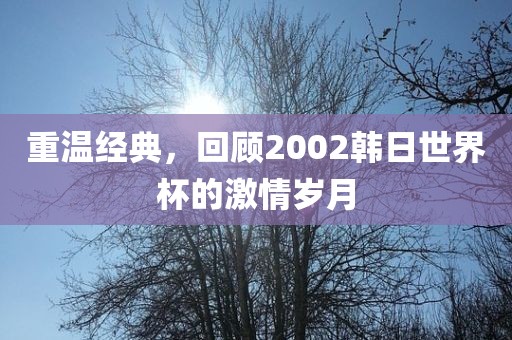 重温经典，回顾2002韩日世界杯的激情岁月洛阳市法福文化传播有限公司