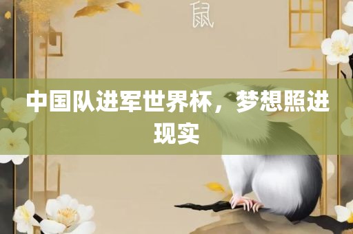 中国队进军世界杯，梦想照进现实洛阳市法福文化传播有限公司