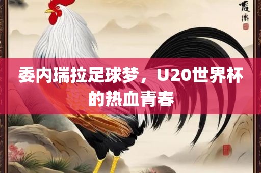 委内瑞拉足球梦，U20世界杯的热血青春洛阳市法福文化传播有限公司