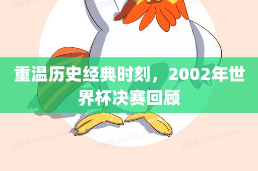 重温历史经典时洛阳市法福文化传播有限公司刻，2002年世界杯决赛回顾