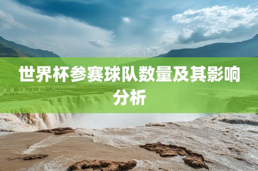 世界杯参赛球队数量及其影响分洛阳市法福文化传播有限公司析
