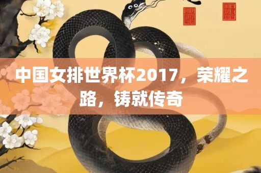 中国女排世界杯2017，荣耀之路，铸就传奇