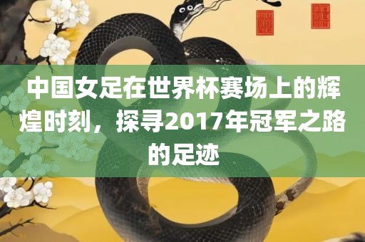 中国女足在世界杯赛场上的辉煌时刻，探寻2017年冠军之路的足迹