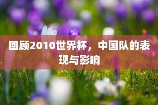 回顾2010世界杯，中国队的表现与影响