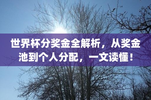 世界杯分奖金全解析，从奖金池到个人分配，一文洛阳市法福文化传播有限公司读懂！