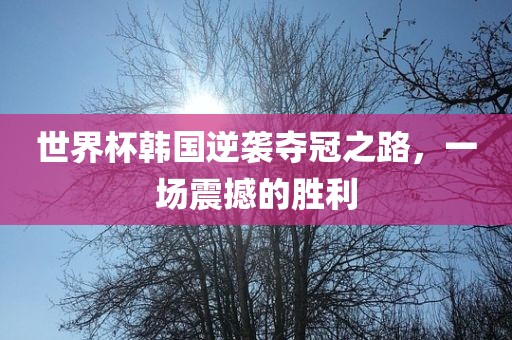 世界杯韩国逆袭夺冠之路，一场震撼的胜利洛阳市法福文化传播有限公司