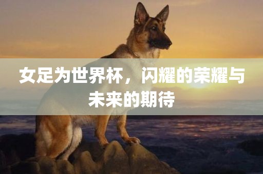 女足为世界杯，闪耀的荣耀与未来的期待